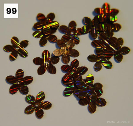 paillettes